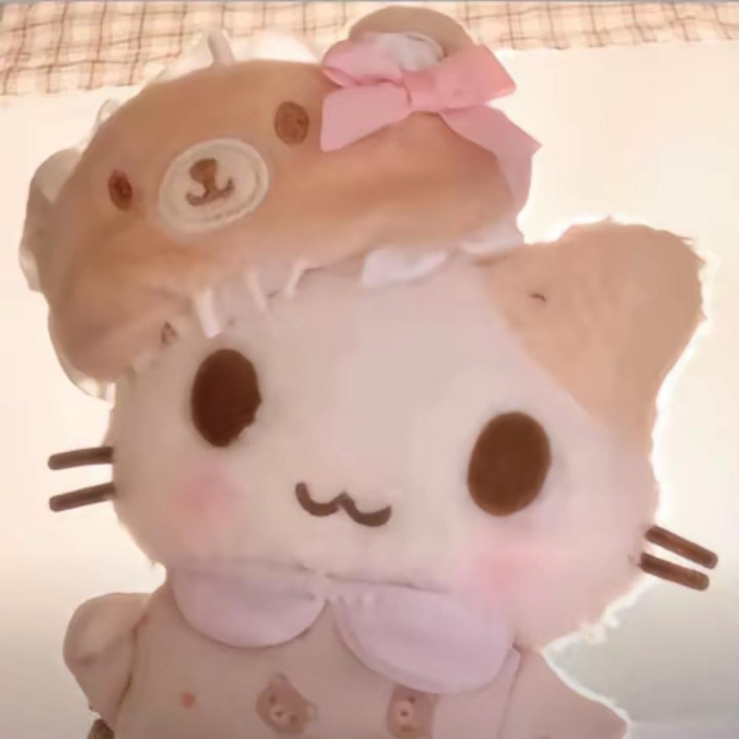 ฅ 𝑶nly 𝑪atkittoi ฅ