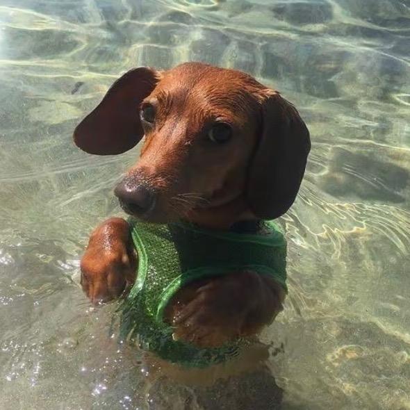 ٩(˃̶͈̀௰˂̶͈́)و