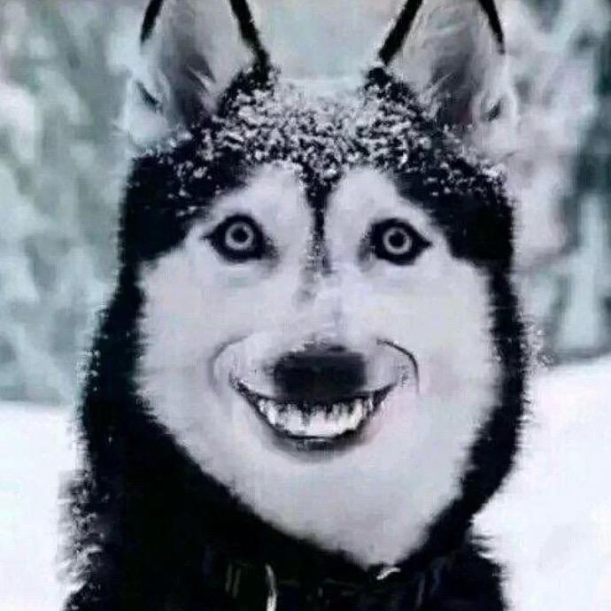 国家级抬杠运动员