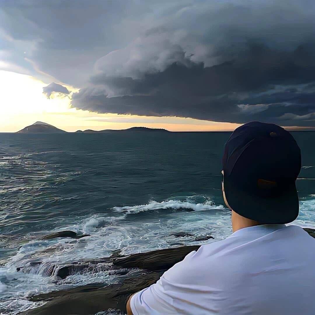 没毛的鹦鹉