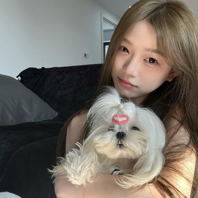 爱7小蛋挞