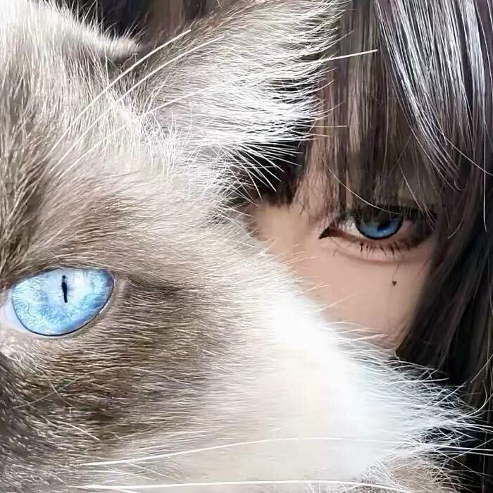 玫瑰.