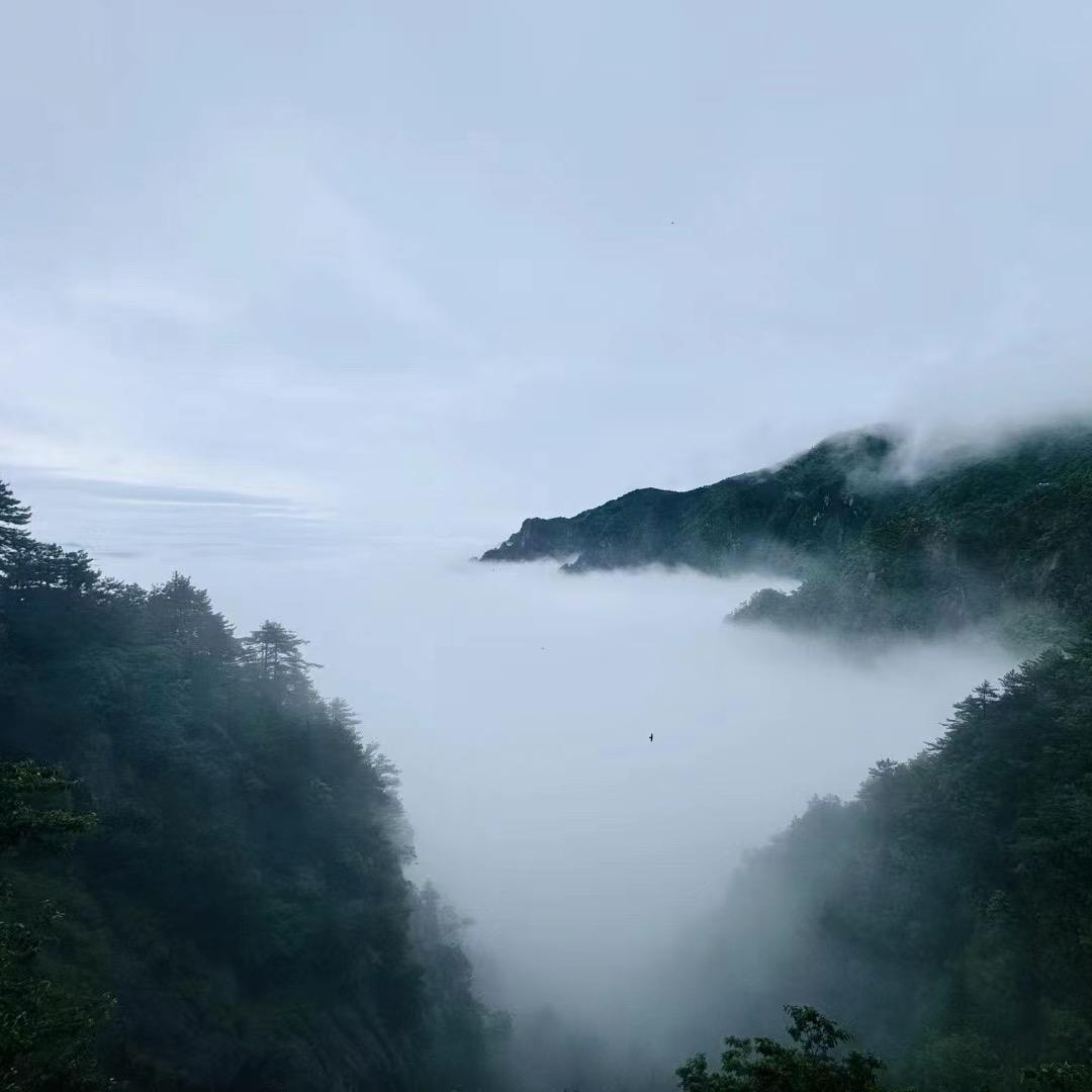 晨@