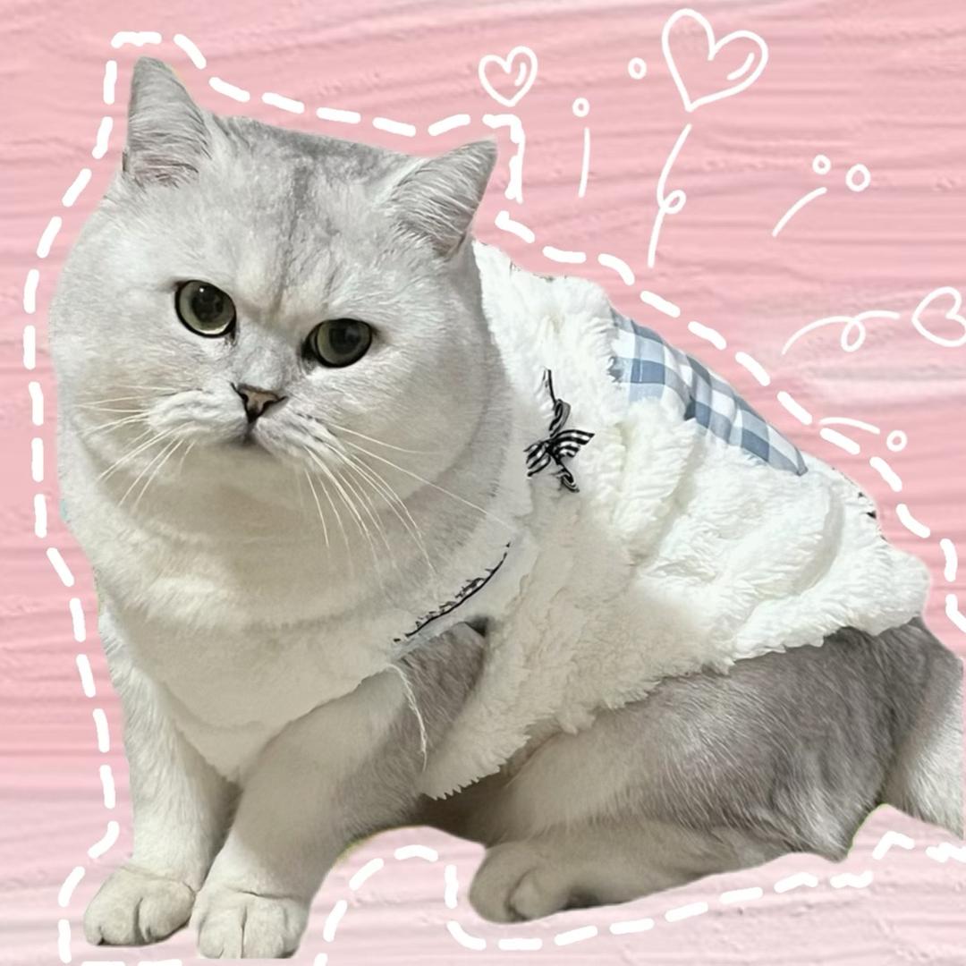 魏精灵🦄🦄