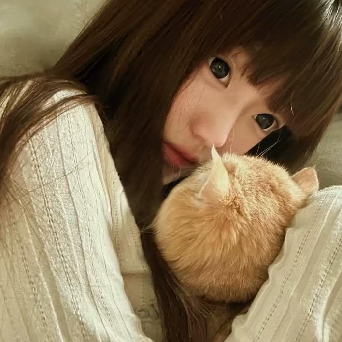 L             、