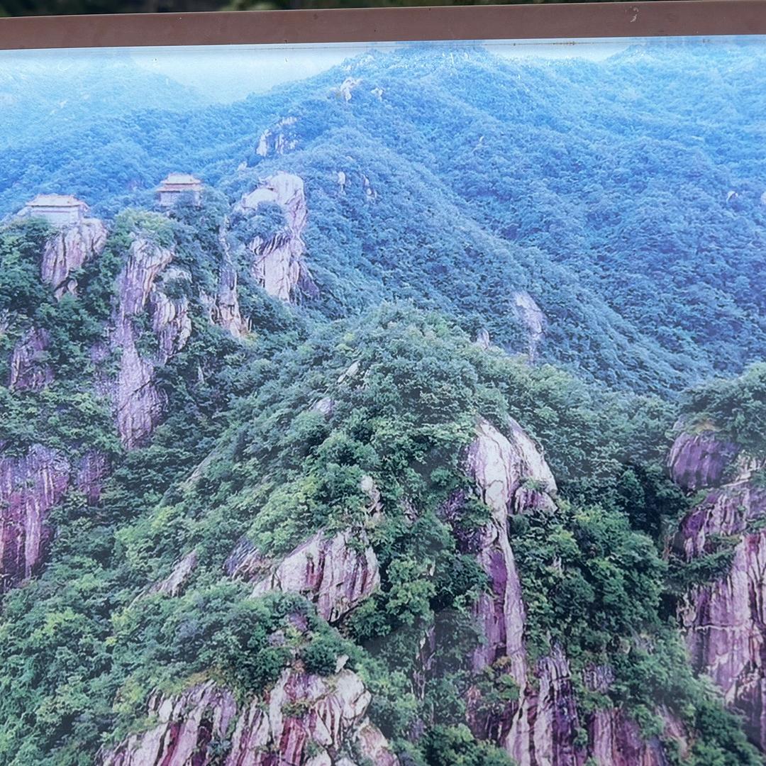 野草