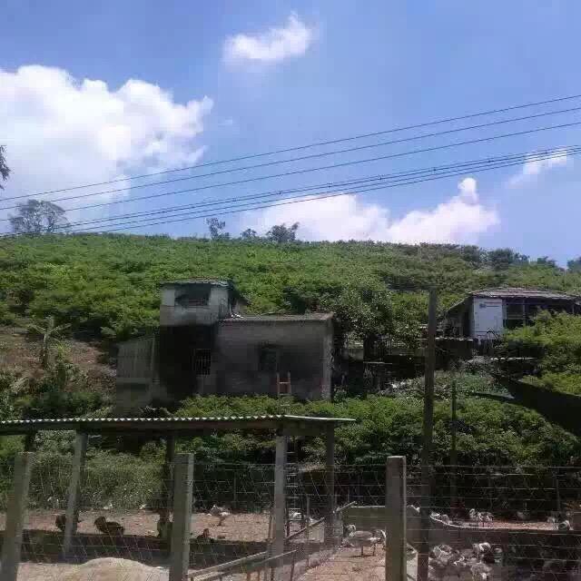 淡然一切