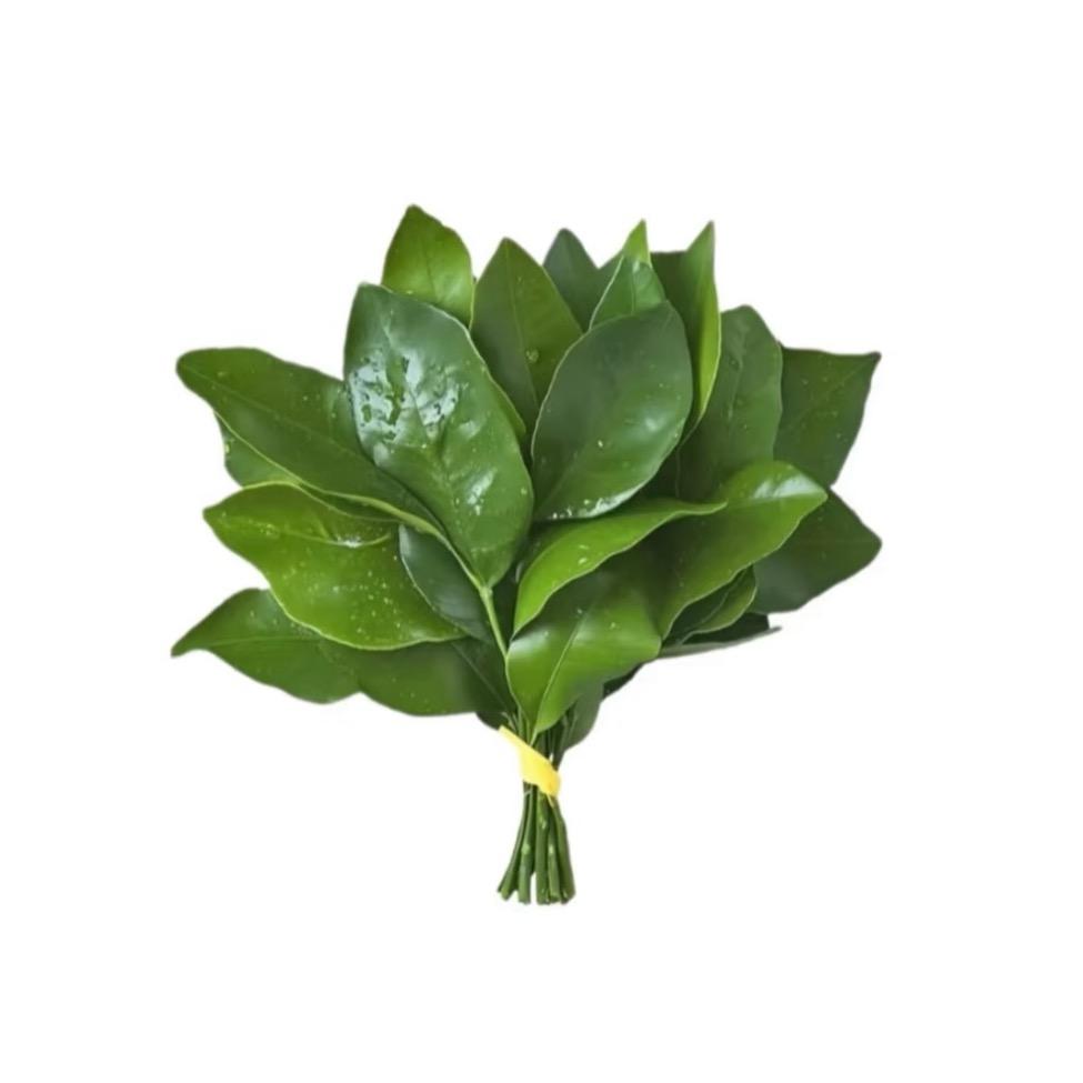 陈同學_