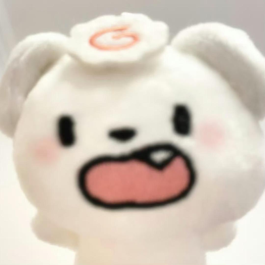 自由的风