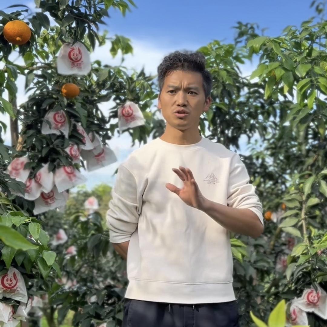 蒲江山哥果业