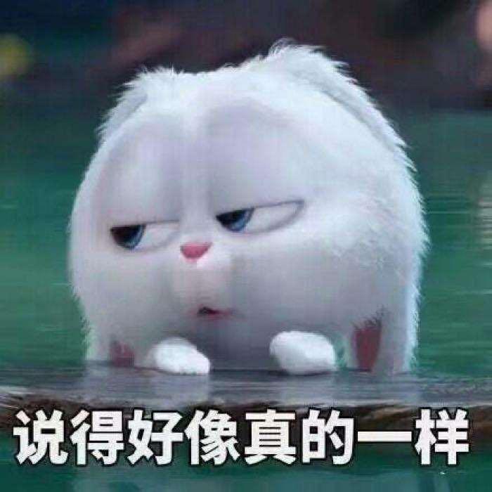 123yatou