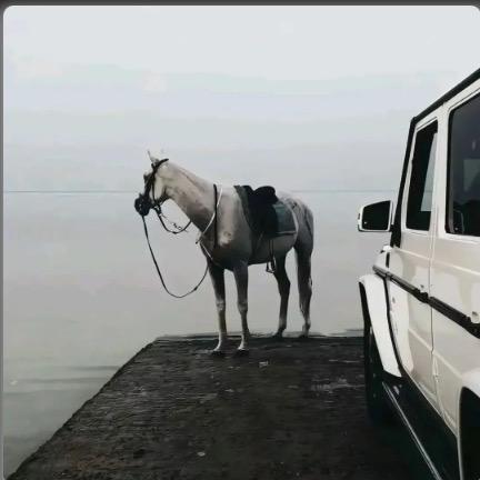 kess一个吧🌬️