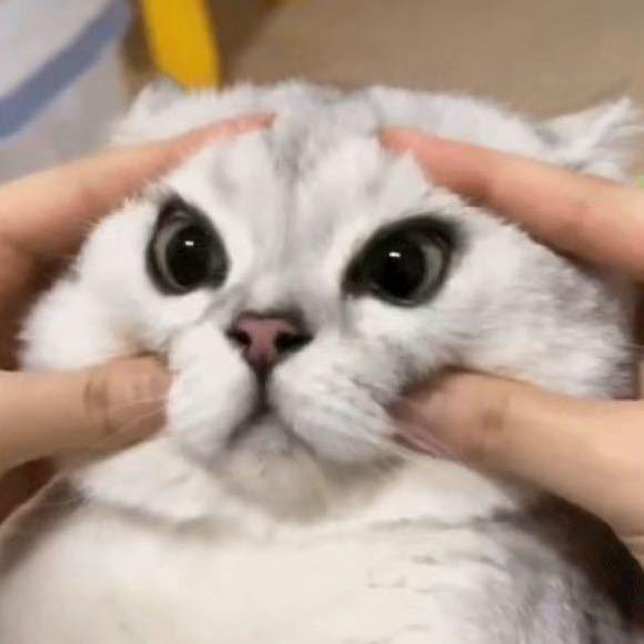 你们弱爆啦