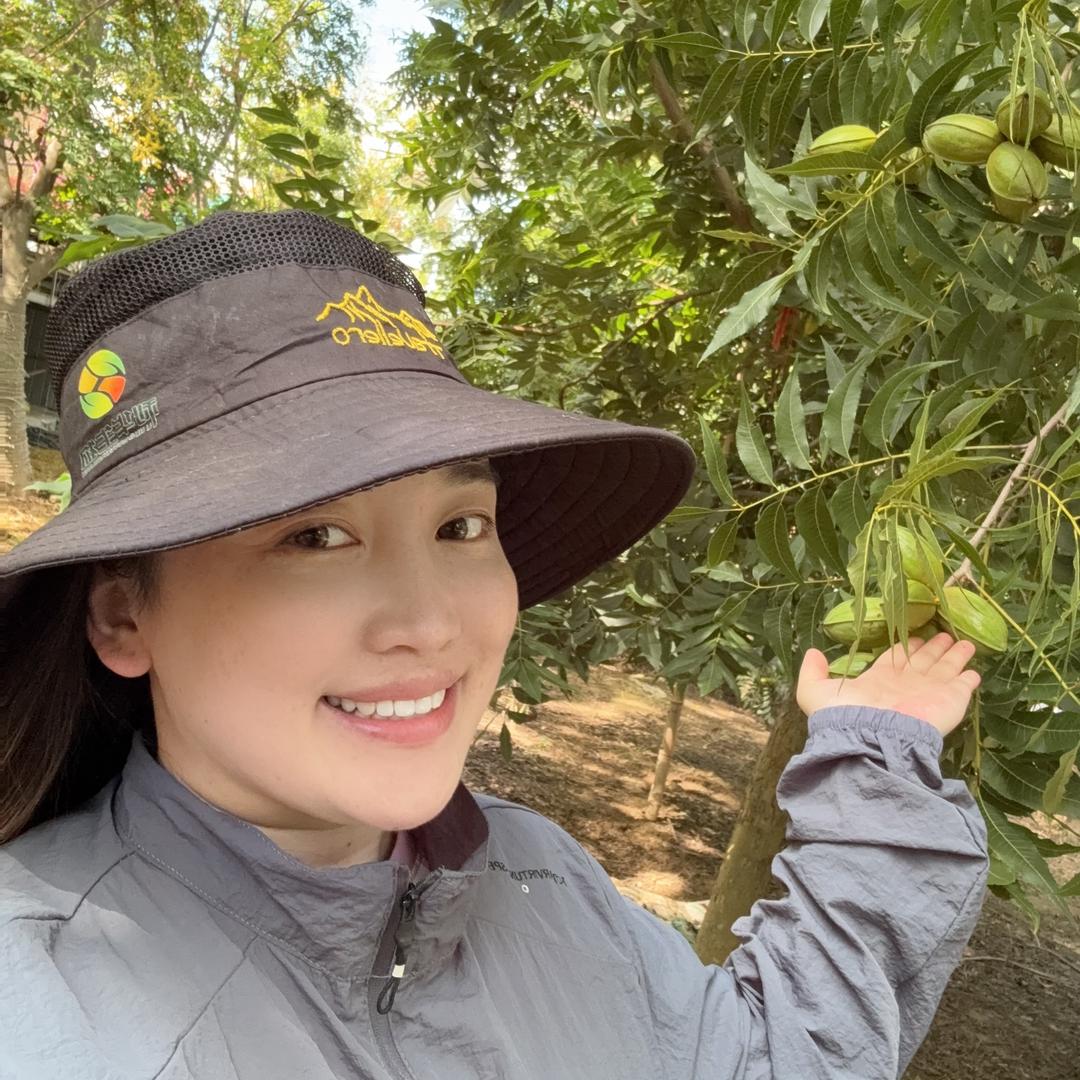 蓝莓湾家的碧根果