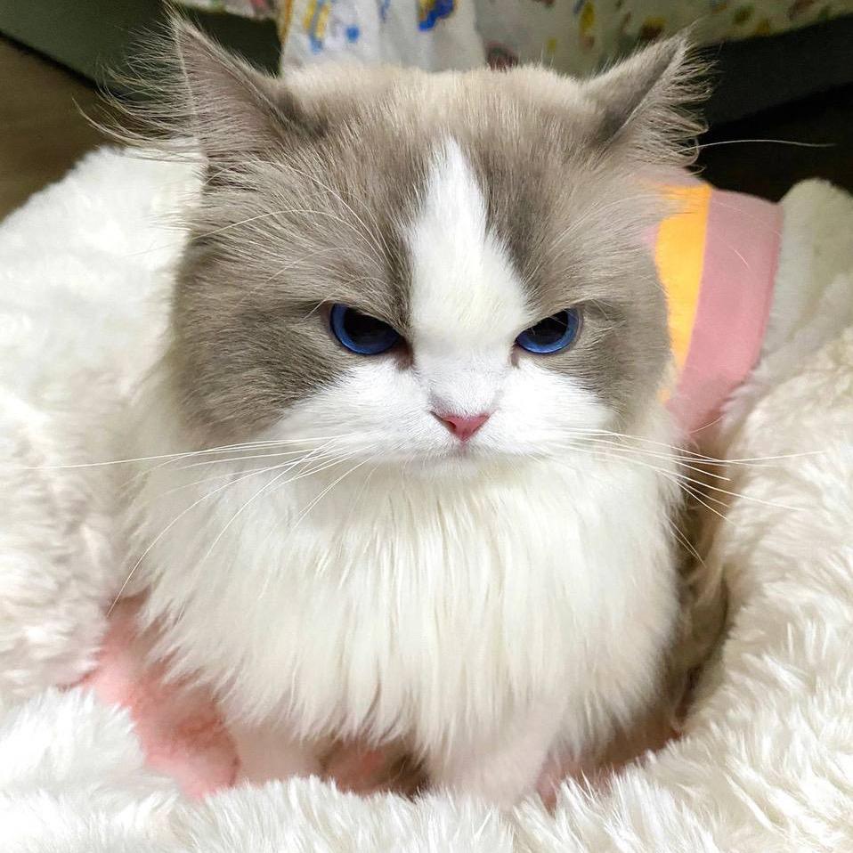 钱来来财