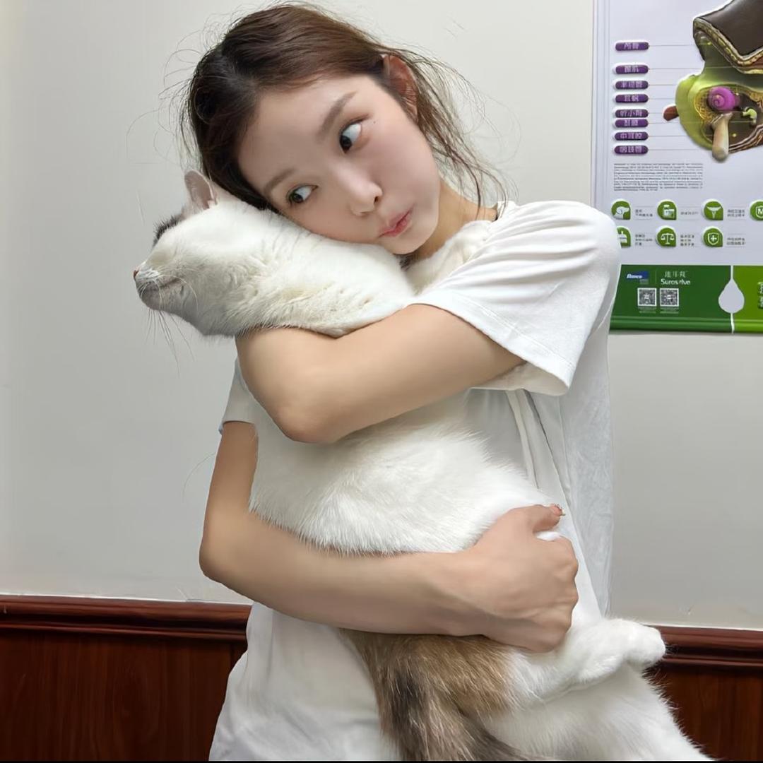 小鱼呆呆脑