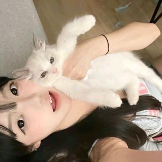 讨厌洋葱
