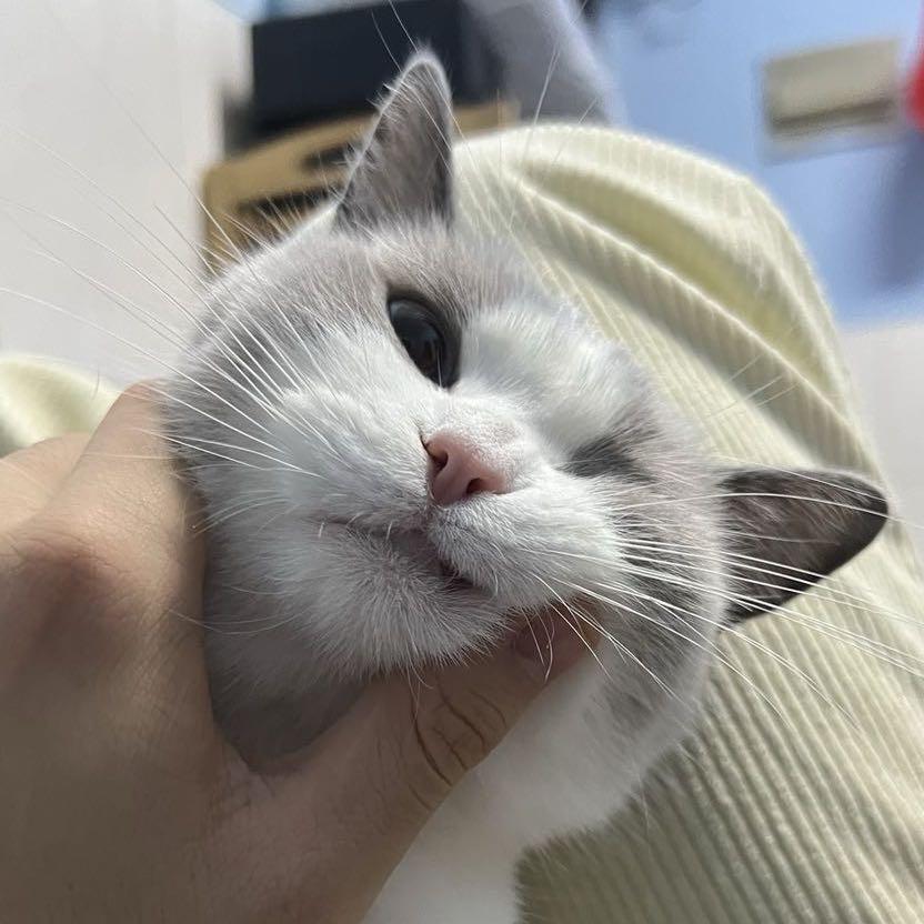 风风风风风阿