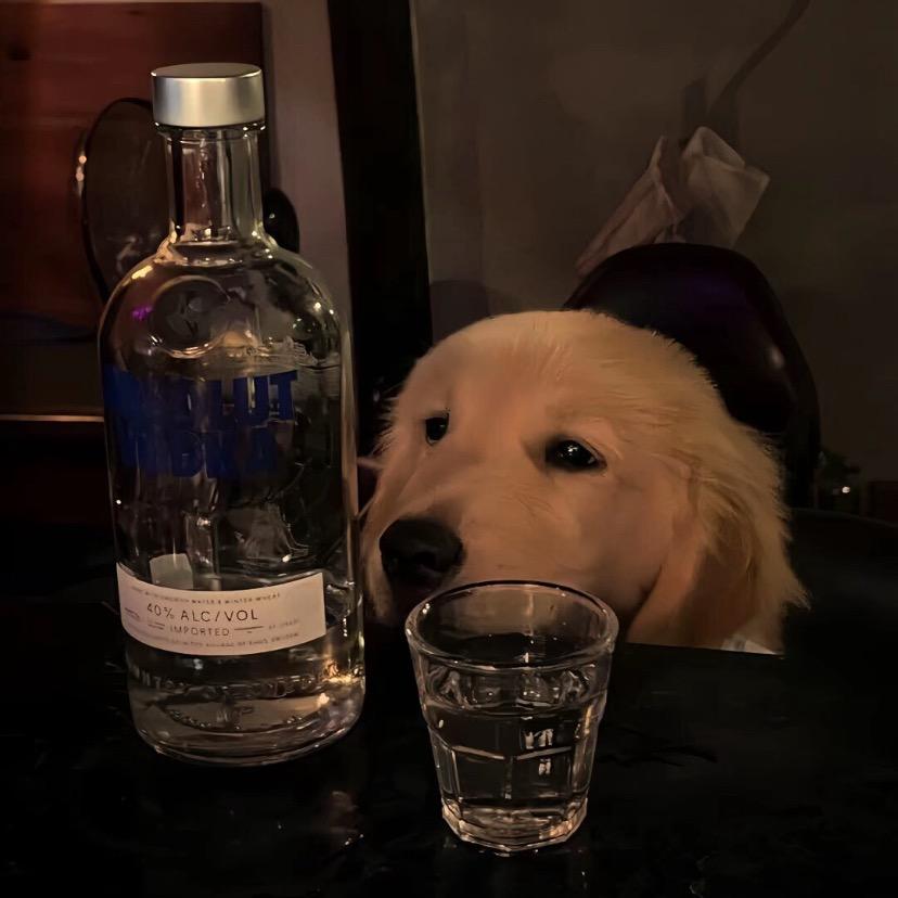 憶.