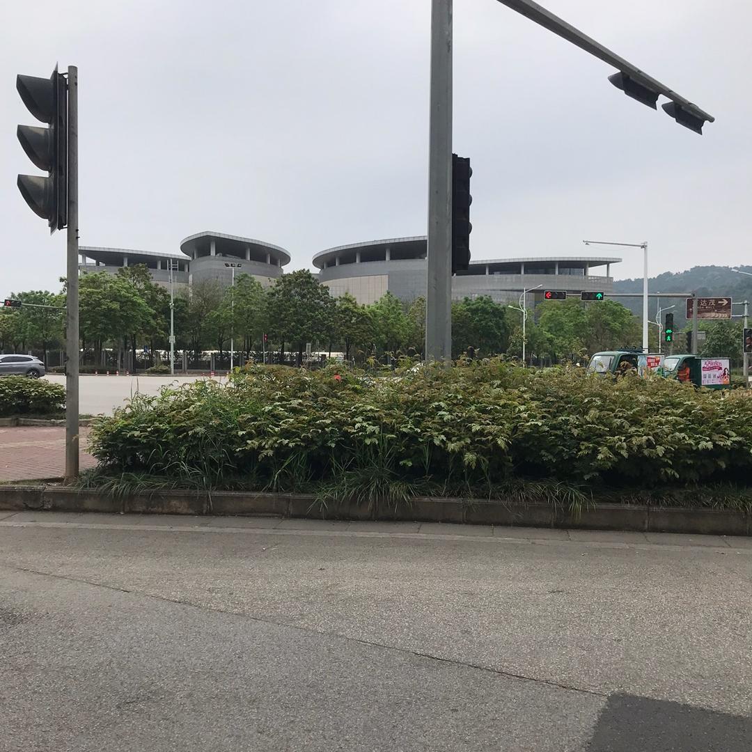 穿拖鞋的追蝴蝶🦋