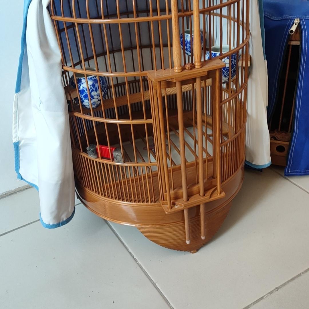 小赵养鸽盘飞