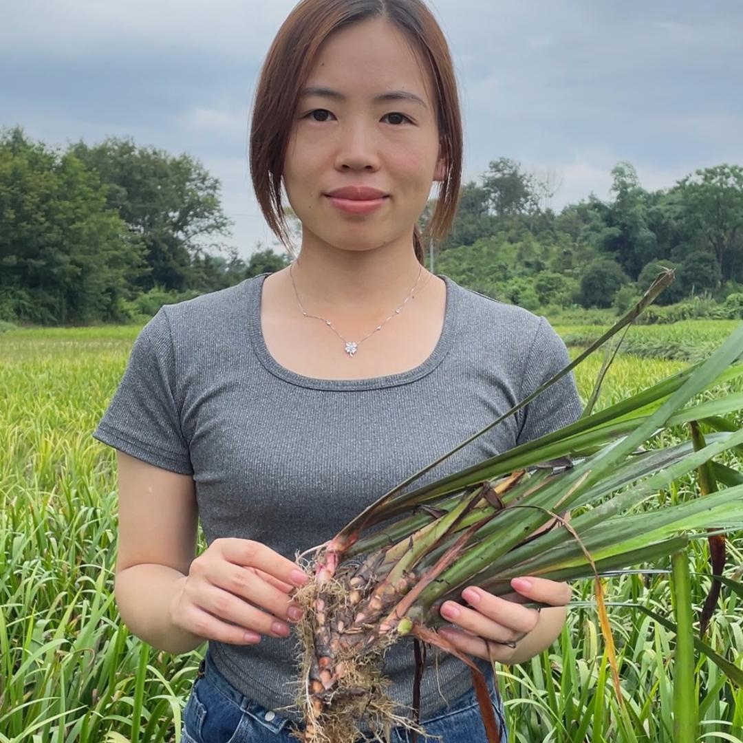 桂惠益富农业