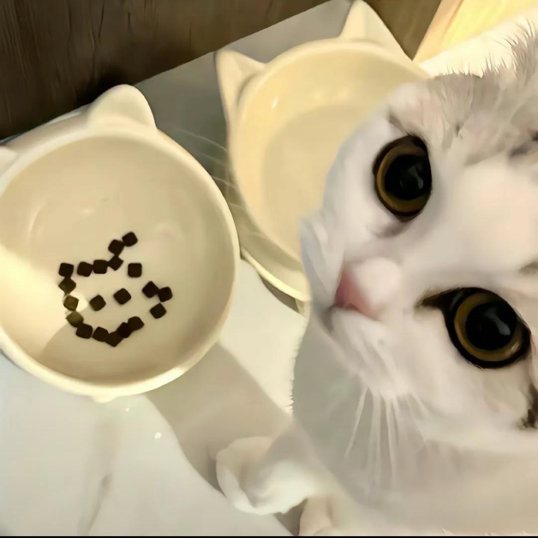 我不想说了（见过蒋敦豪&张杰&张晚意版）