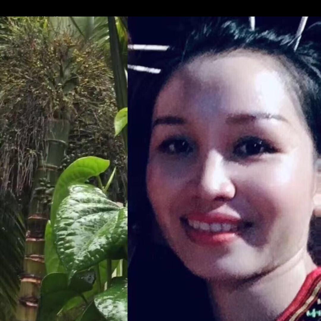 珠珠