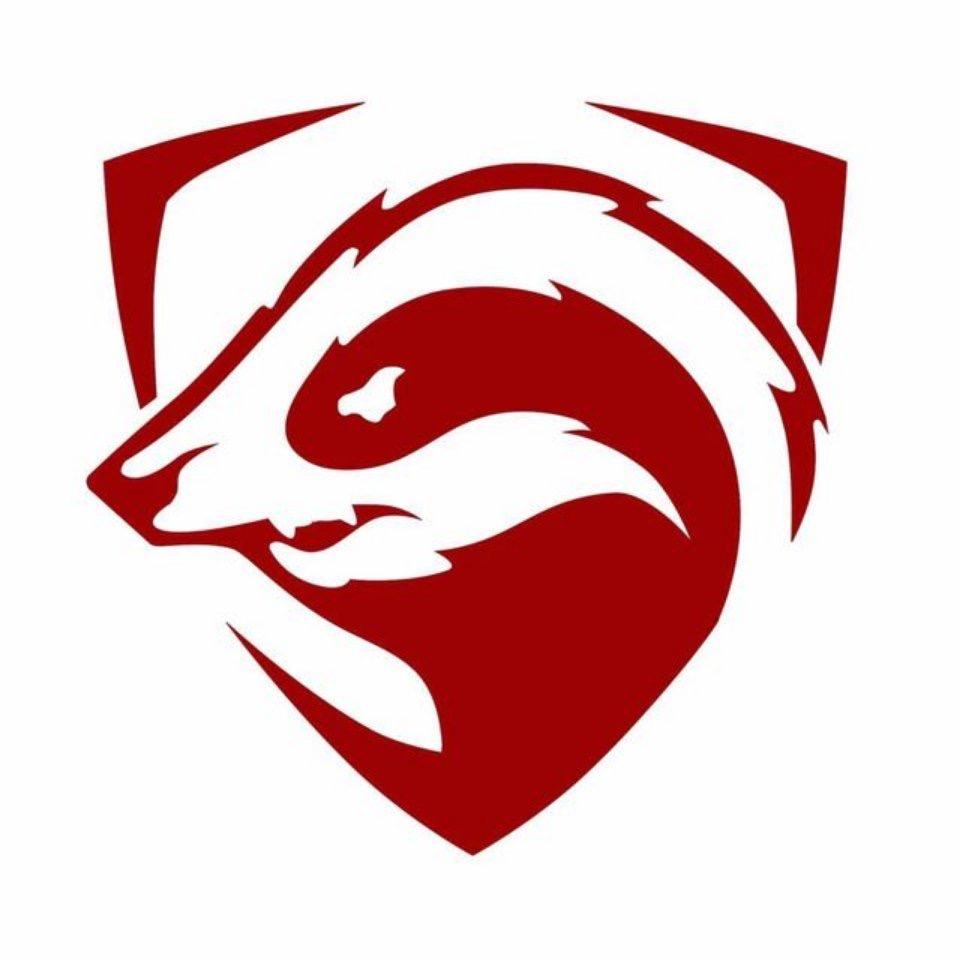lx 小火龙