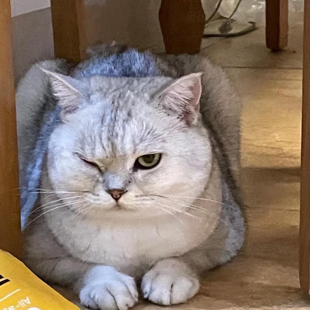 苏东东