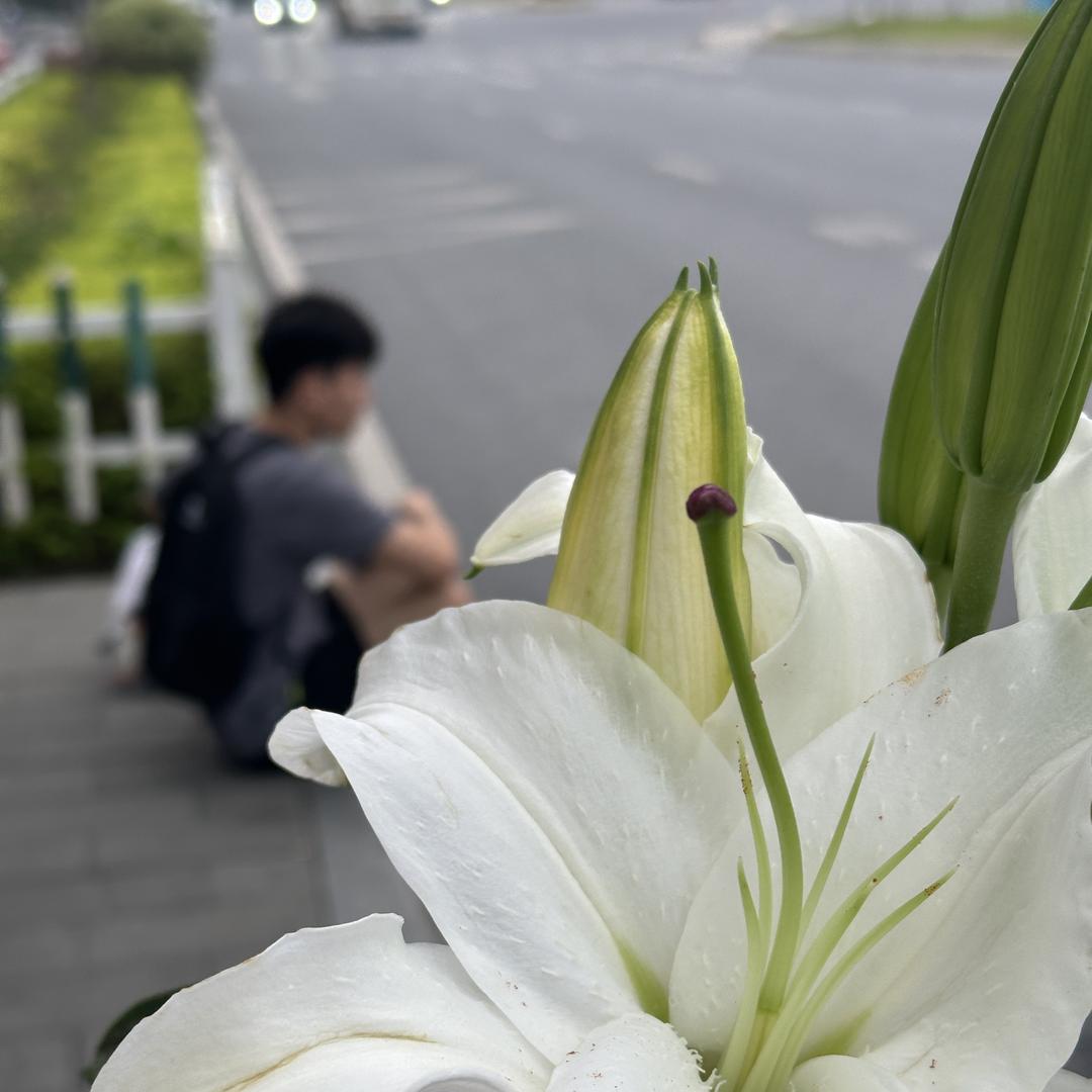 一条香菜的杂货铺