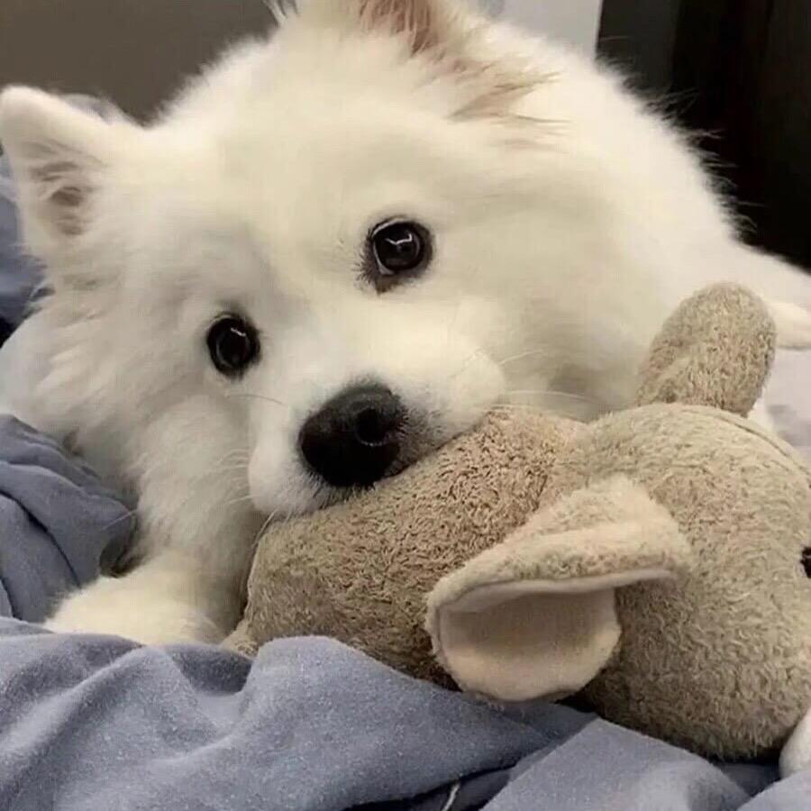 lllllllllly