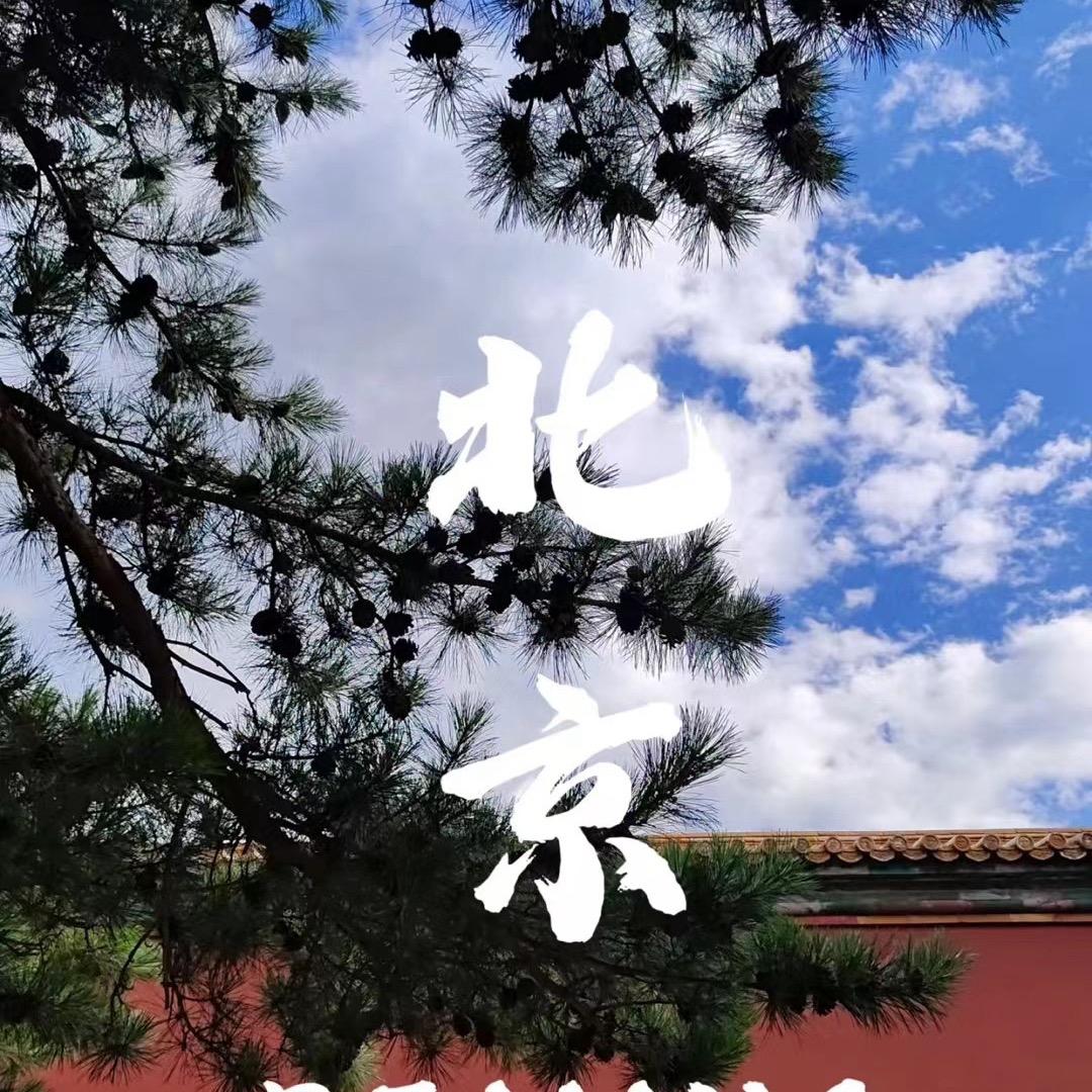 京城助手（🎫）