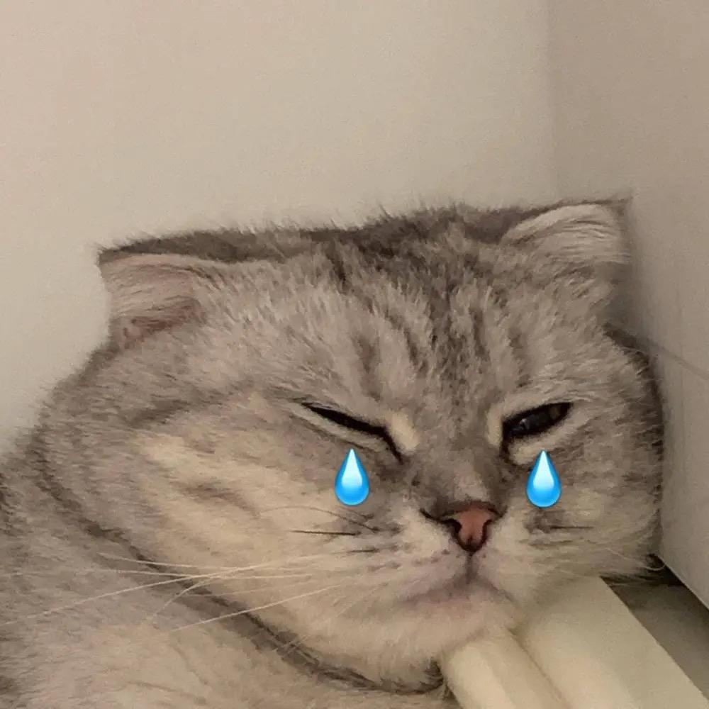 .澈.