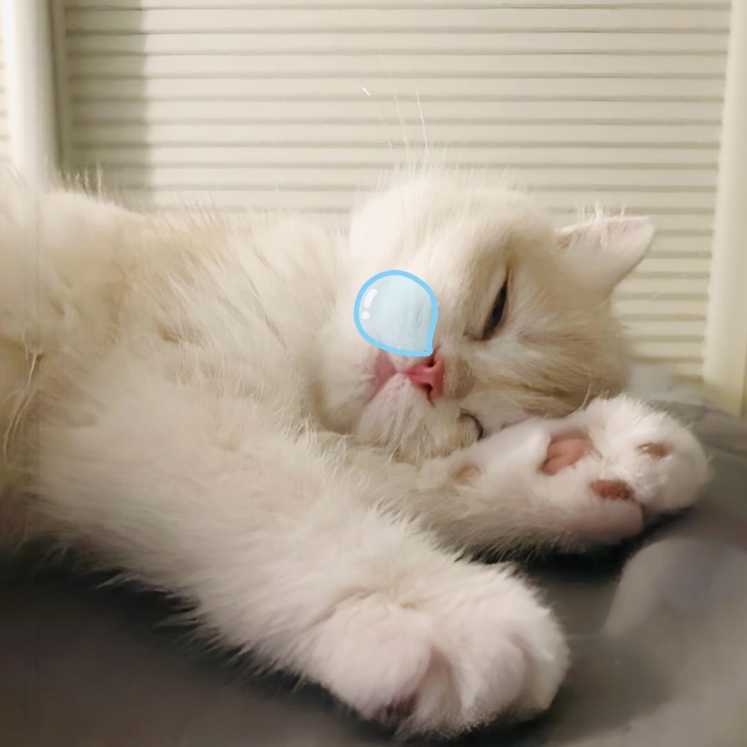 我就只有一个越。