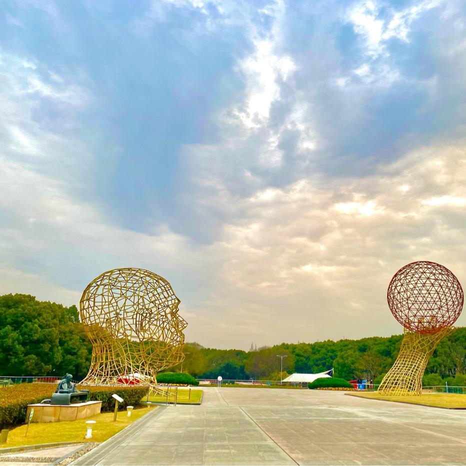 空有白日梦