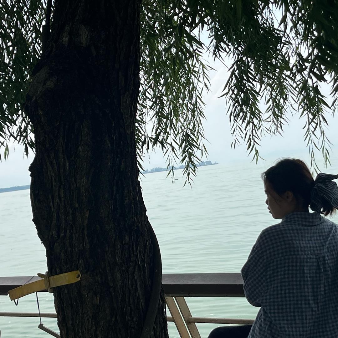 95后自媒体小鱼的日常