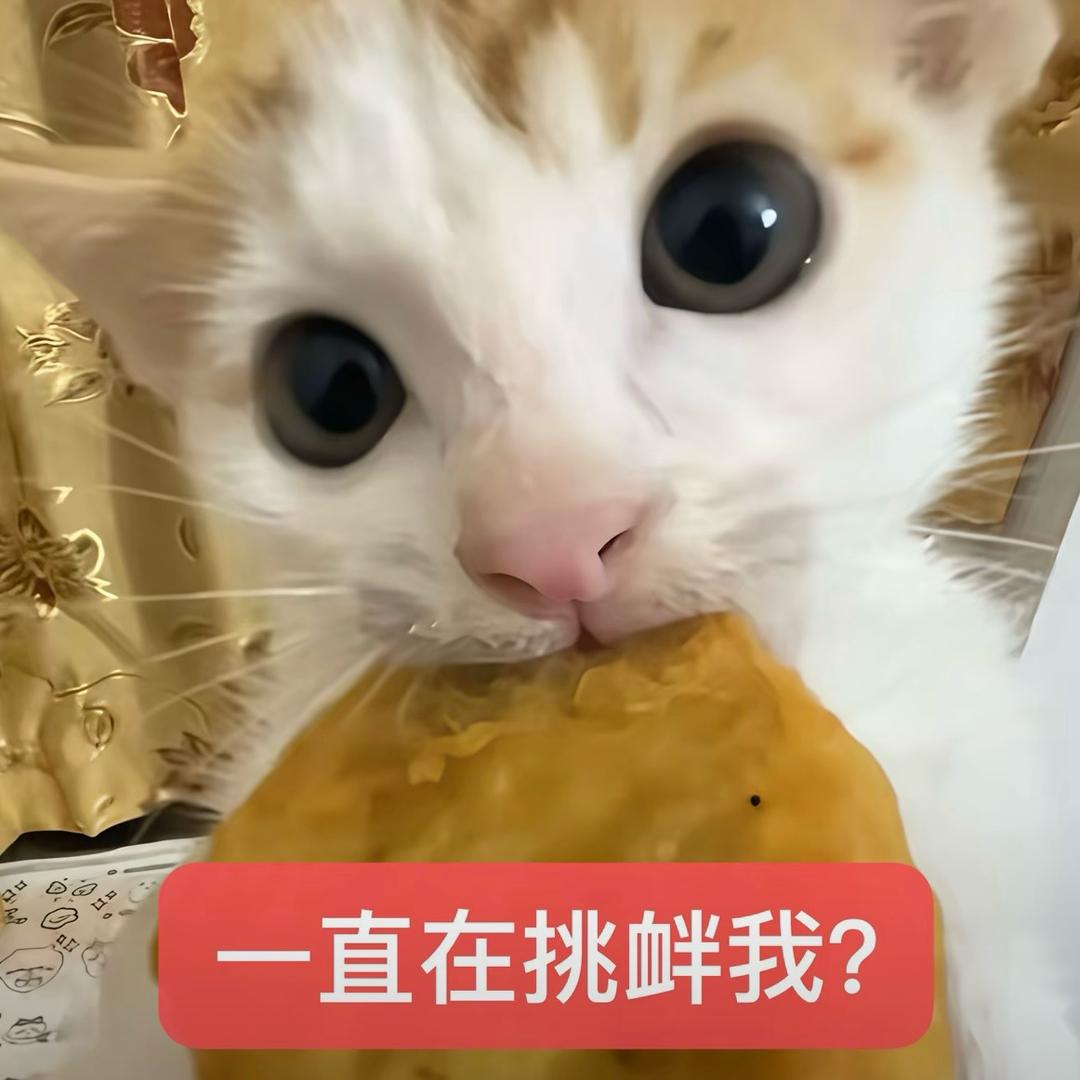 朝华.