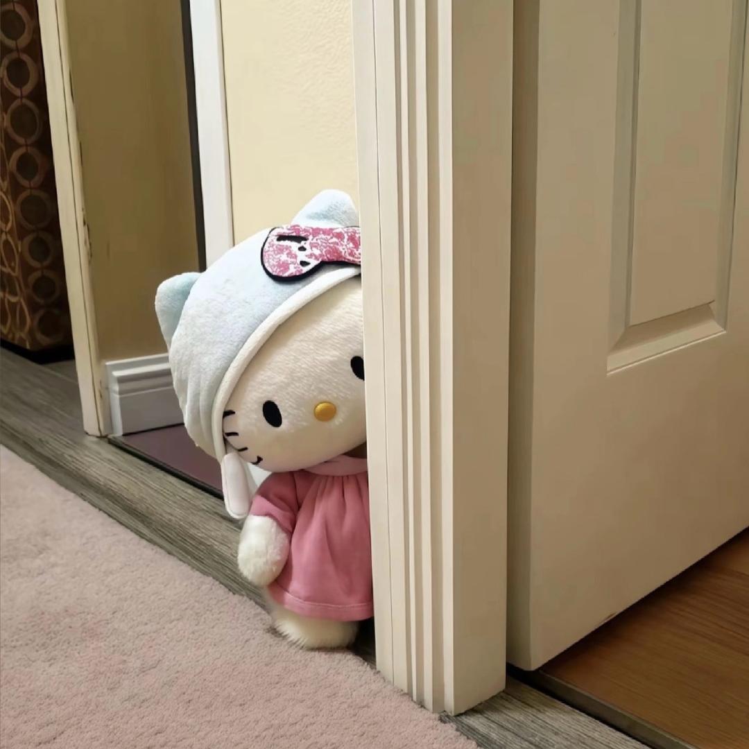 🐰ིྀིྀ