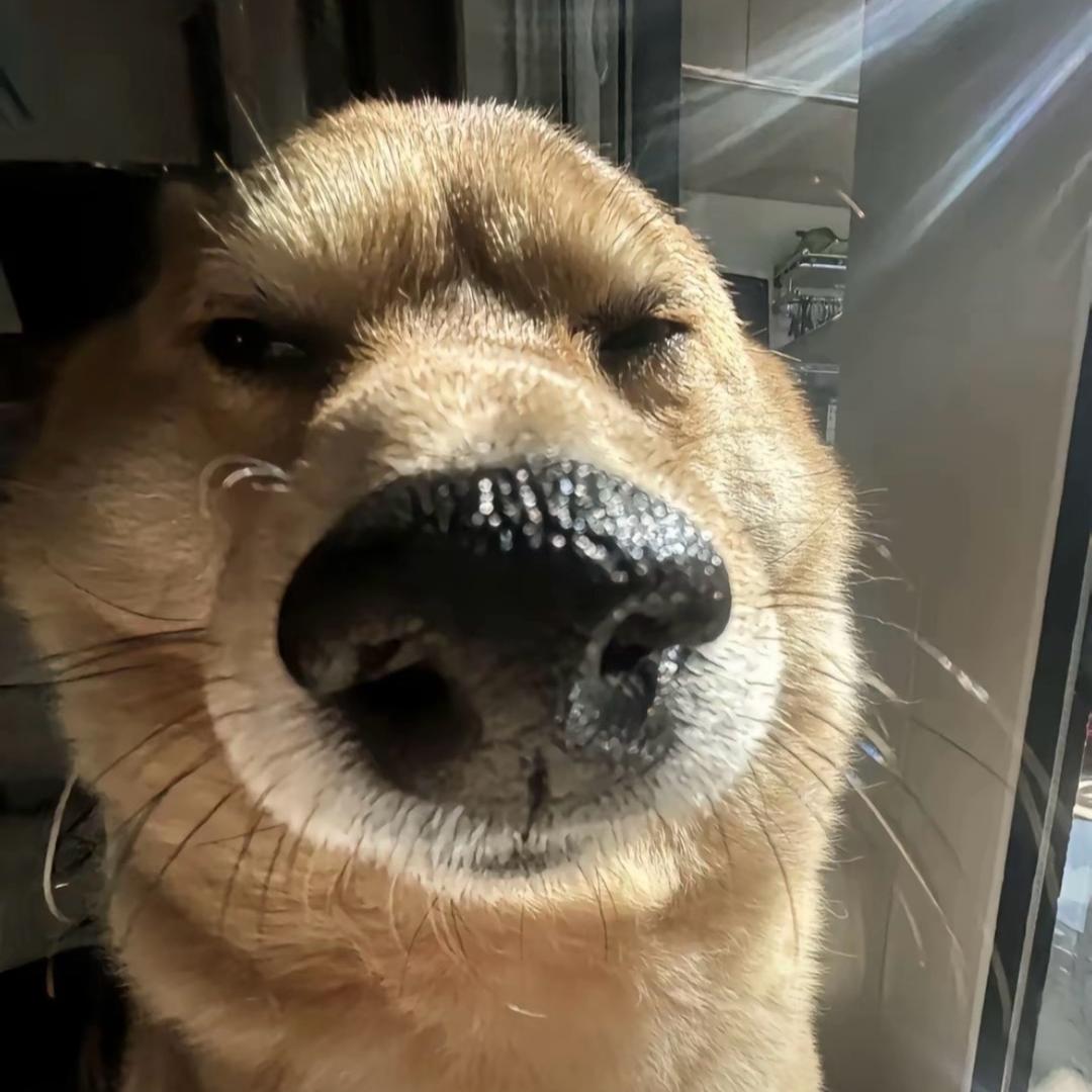 拿银