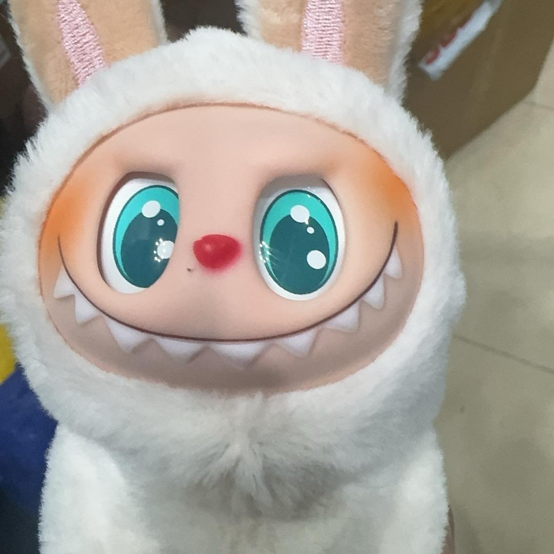 ZW精选