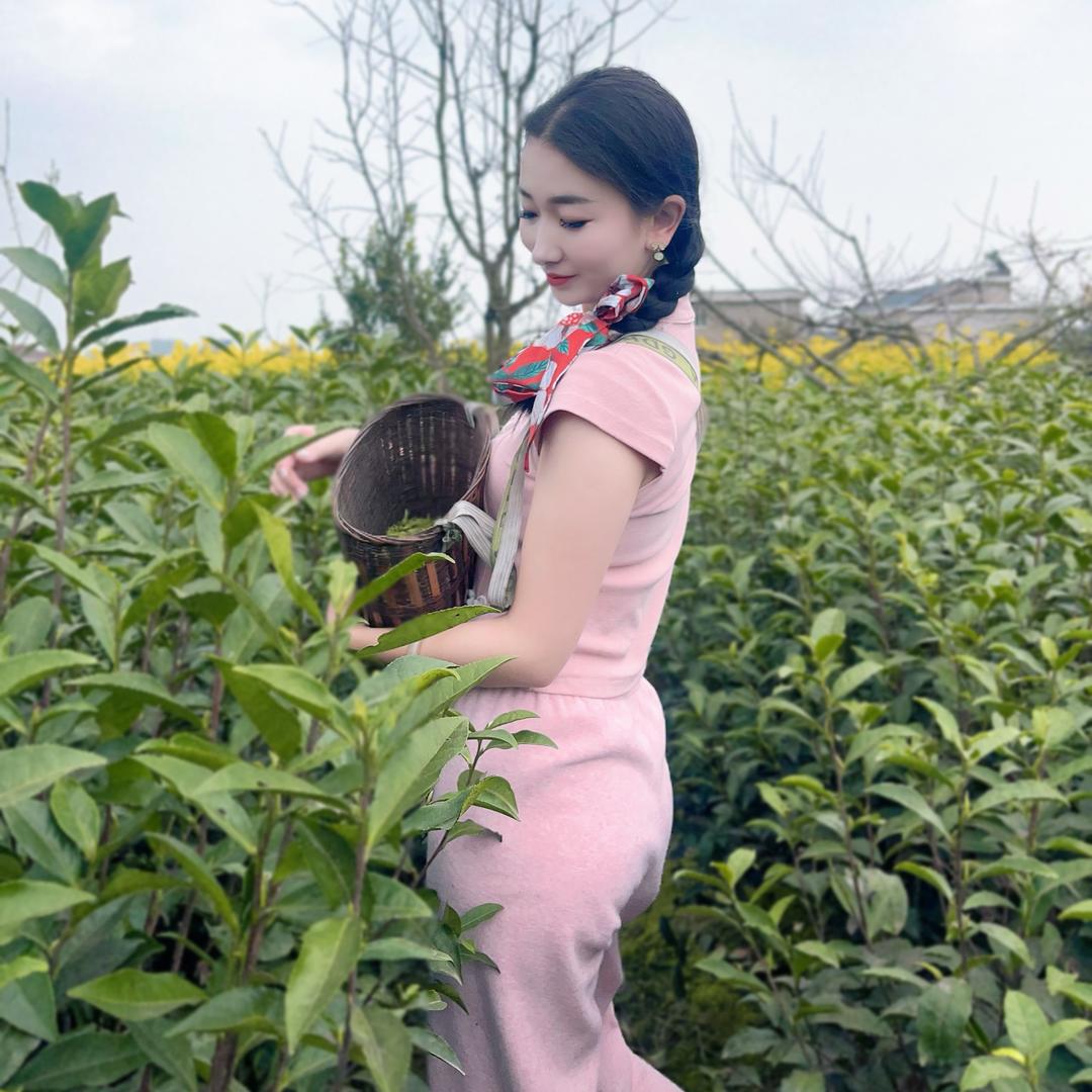黄妖精