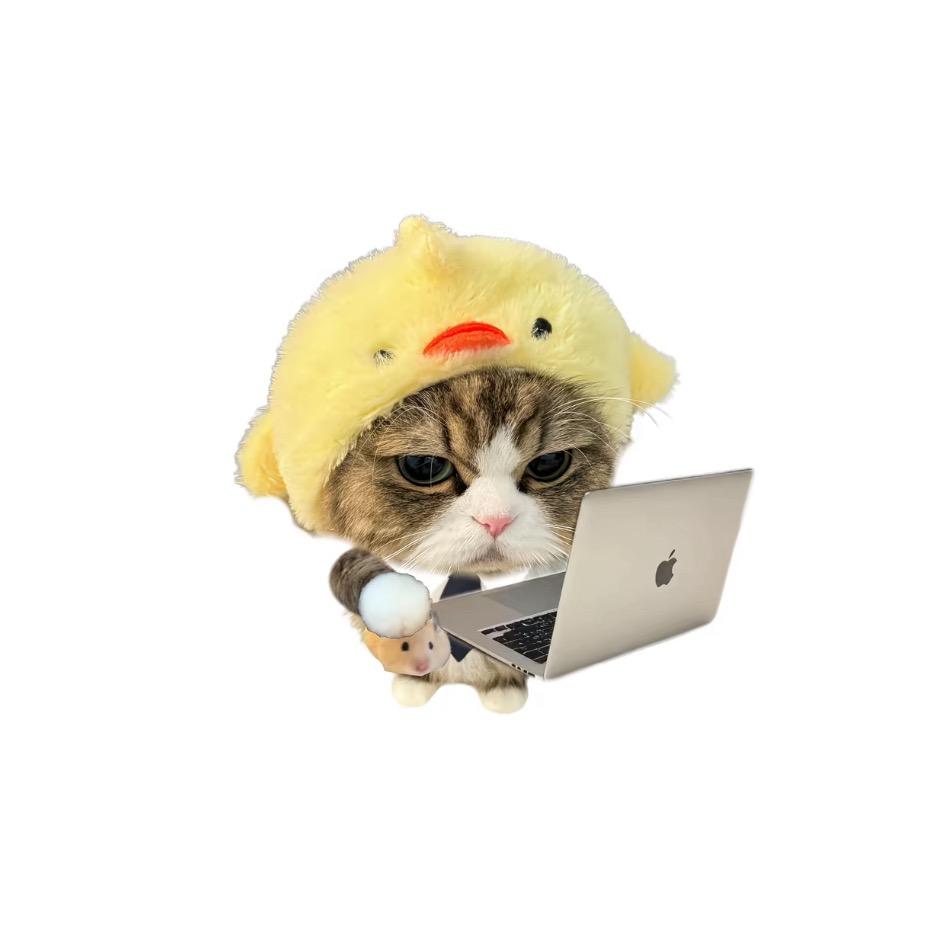 小筒cc