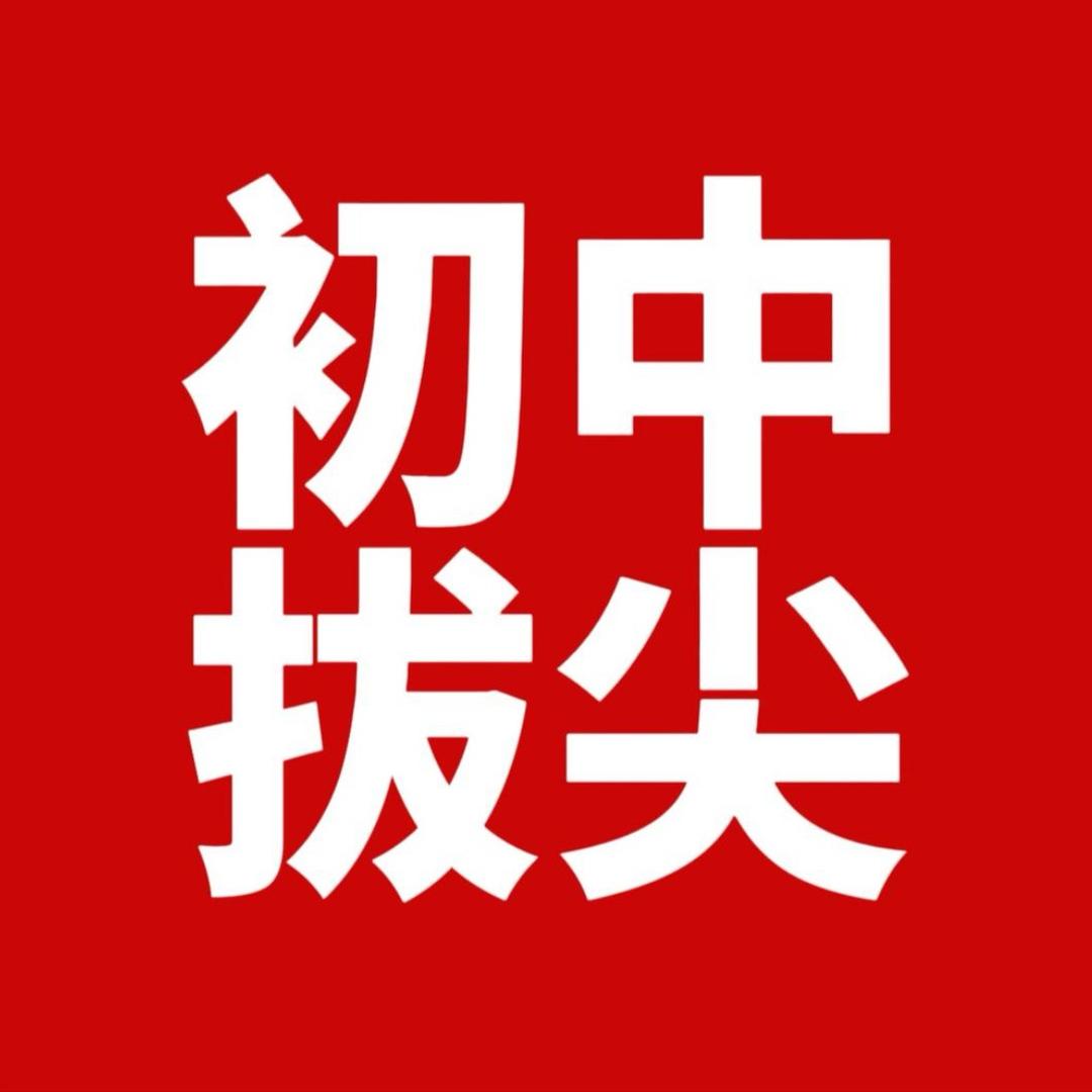 初中拔尖资料