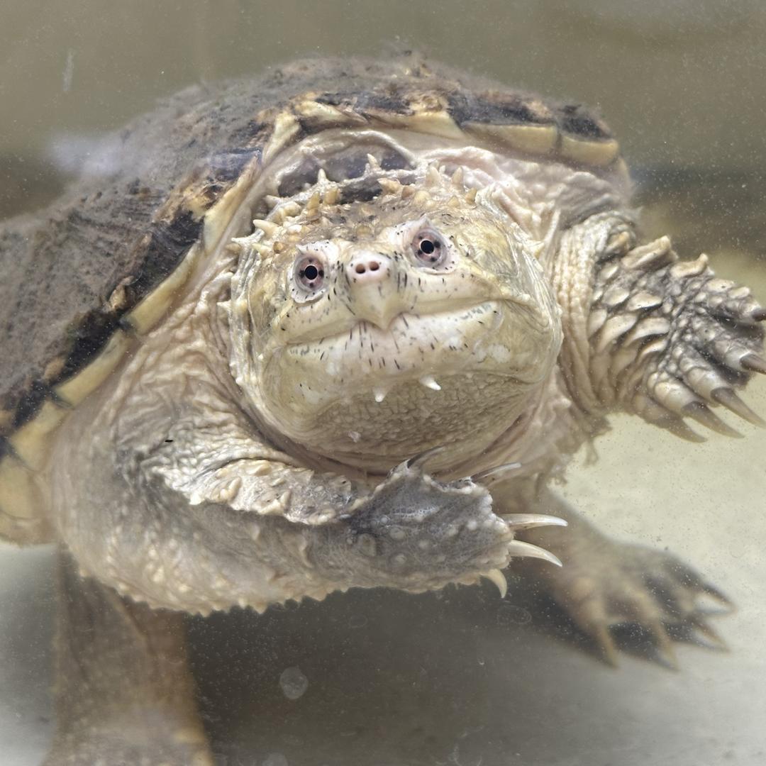 茂名水产臻选阁