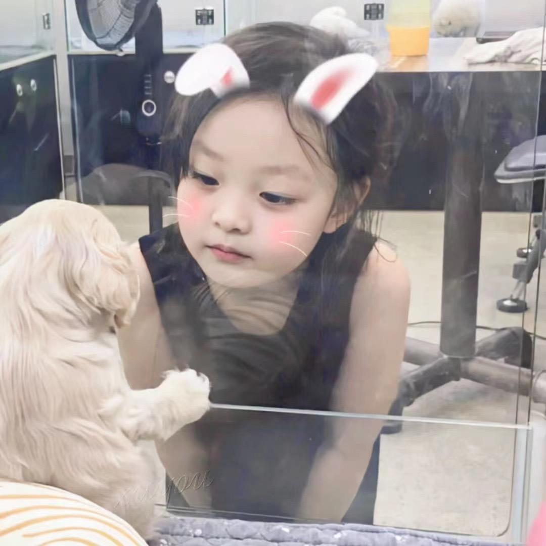 喵喵淼ₗ  ̫ ₗ