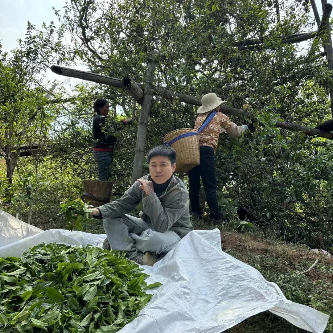 老陈的茶-玖茗号