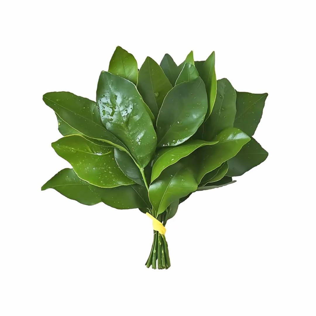 喝不了冰的🧊