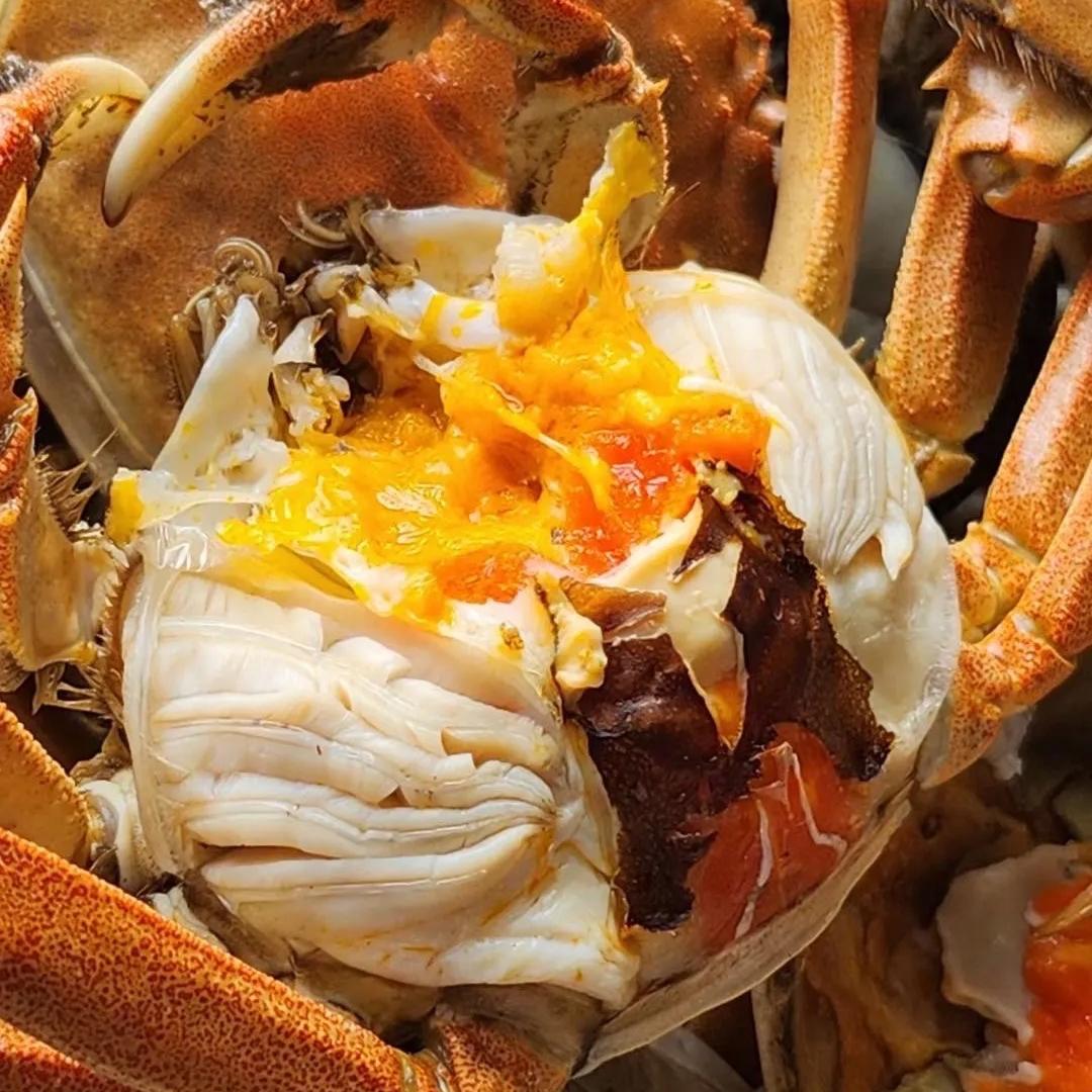 盘锦二亮哥河蟹