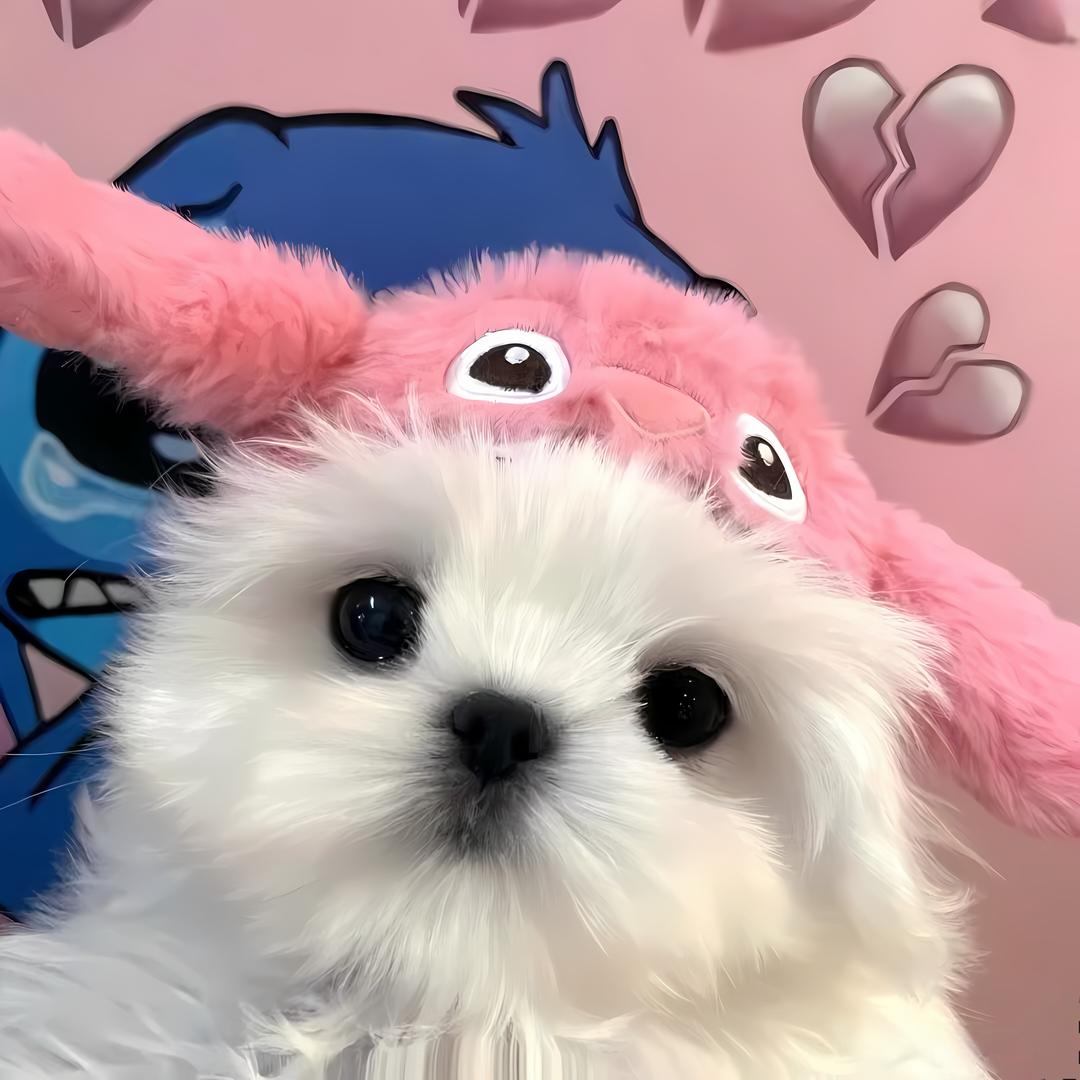 🌙²⁰⁰⁵